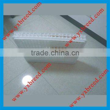 Chicken travel crate