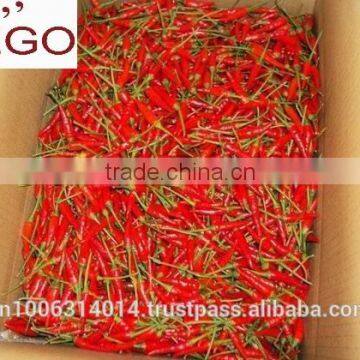 High Quality Fresh Spicy Chilli Vietnam full size