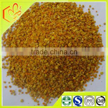 Health product corn pollen wholesale