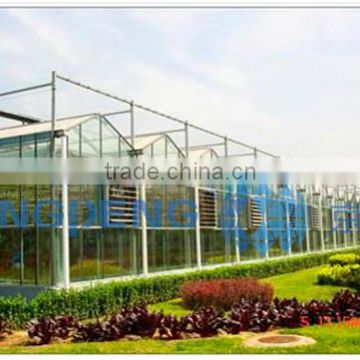 Multi Span Glass Greenhouse for Horticulture