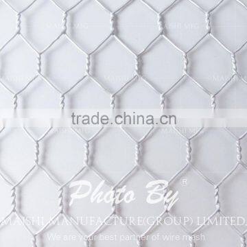 GI Hexagonal Mesh photo-5