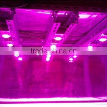 Aluminium Cob Led Light Heat Sink Cob Grow Light Kit 100w Cob Led Full Spectrum photo-4