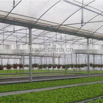 Hot Sale Multi-span Greenhouse With Vegetable Farming Equipment photo-2