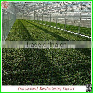Arched Type Commercial Used Greenhouse for Potatoes for Hot Sale photo-3