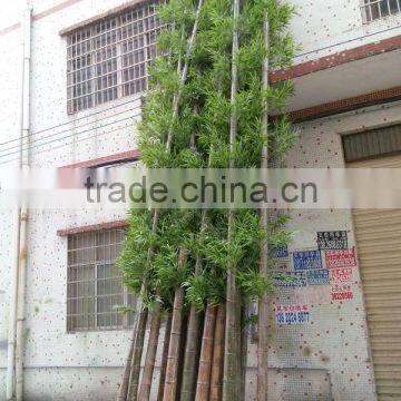 SJ030936 bamboo ornamental plants artificial plant artificial bamboo products