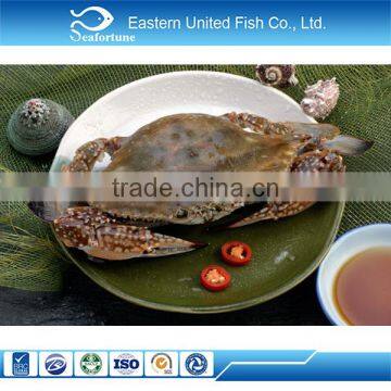 new arrival wholesale health frozen blue swimming crab export detail