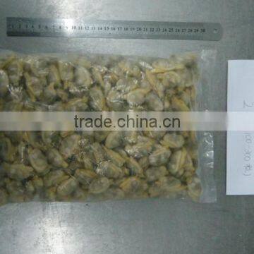 FROZEN BABY CLAM MEAT IQF LATIN NAME VENERUPIS VARIEGATA photo-2