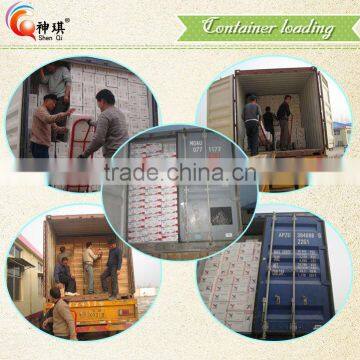 Can You Substitute Baking Powder photo-3