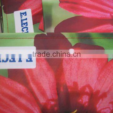 Fashion Hot Floral pp Woven Tote Bag for Shopping in Stock Now! photo-2