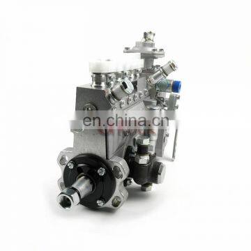 Genuine NANYUE Diesel Fuel Injection Pump B6AD548 13030186 13053063