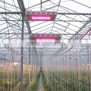 HL-G80A Led Grow Lights for Plants photo-3