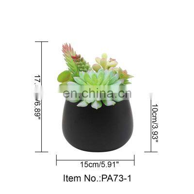 Home Garden Decorations Plastic Flower Wholesale Cute Pots Assorted Artificial Succulents With Black Pot