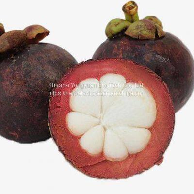 Mangosteen Extract Polyphenols 20% UV, Garcinia mangostana Extract, Mangosteen supplement, Yongyuan Bio