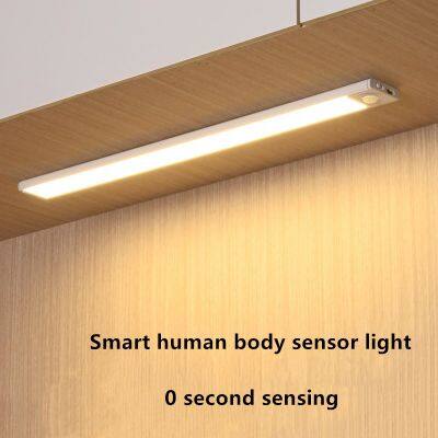 Ultra-thin Intelligent Human Body Sensing Wardrobe Light LED Long Strip Cabinet Light