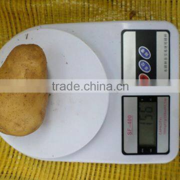 Chinese fresh potato packing in mesh bag