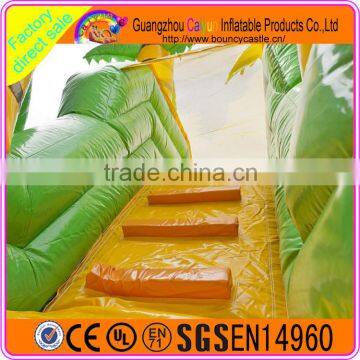 Green Water Slide With Pool for Kids Hot Sales High Quality photo-4