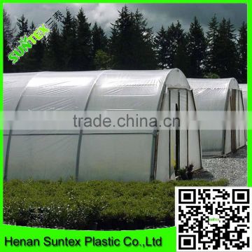 100% virgin HDPE clear plastic nursery greenhouse film with UV protection