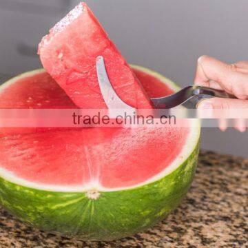 High Quality Through FDA/LFGB/SGS Stainless Steel Watermelon Slicer Quality Choice photo-4