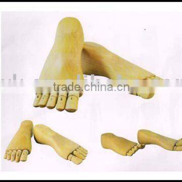 Wooden Foot Model