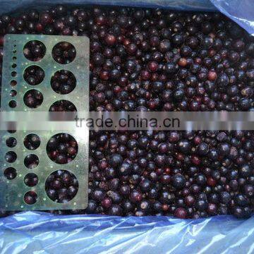 IQF frozen black currant