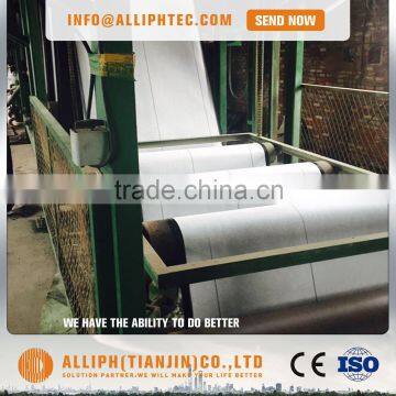 SBS Asphalt Roofing Underlayment Bitumous Membrane photo-3