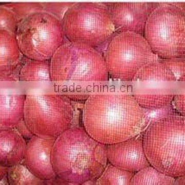 china origin onion