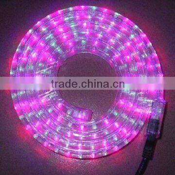 pink flash led tube light