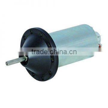 118ZY 750W 800W Permanenet Magnet DC Brush Motor