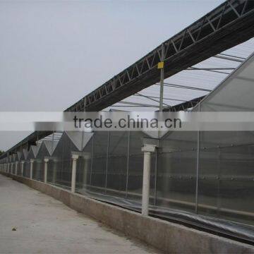 foshan tonon polycarbonate sheet manufacturer roof panels for sheds made in China (TN0444)