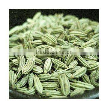 Top Quality & Competitive Price of OLEORESIN FENNEL 5% VOC Oil Soluble