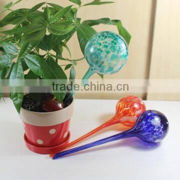 Colorful glass device plant watering tools