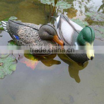 mallard decoy duck