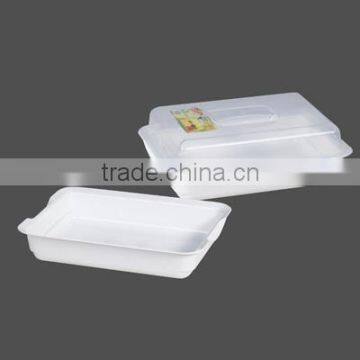 Square Food Keeper 2527