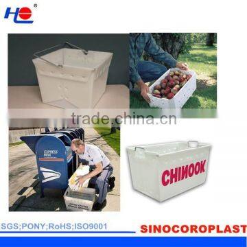 Corrugated Plastic Fruit Packing Box