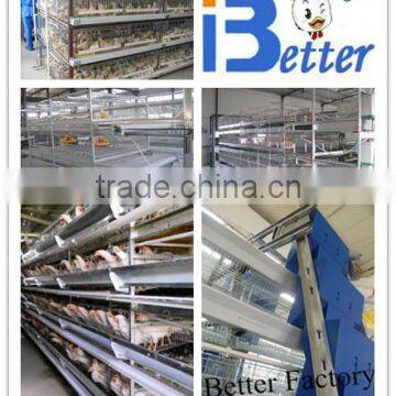 BT Factory hot-sale H type broiler chiken cages for Kenya poultry farm