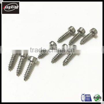 Stainless Steel Hex Socket Cap Head Self Tapping Screw