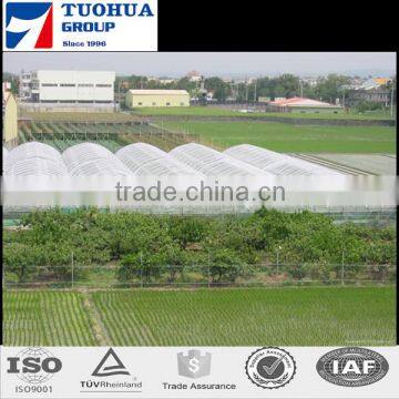 Greenhouse Insect Net Roll for Vegetable Plant,Agriculture Protection