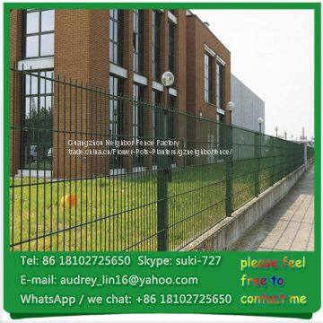 8*2+6mm, 6*2+5mm Powder Coated Green Double Wire Mesh Fence