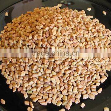 Fenugreek Seed