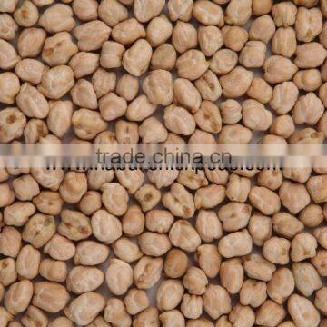 Price of Protein Chickpeas photo-5