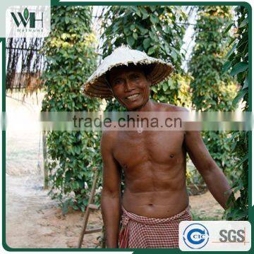 Vietnam Special Strong Aroma Intensely Spicy Black Pepper 500gl photo-6