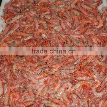 Fresh Whole Round Red Shrimp