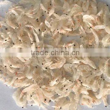 good quality baby dried shrimp for thailand