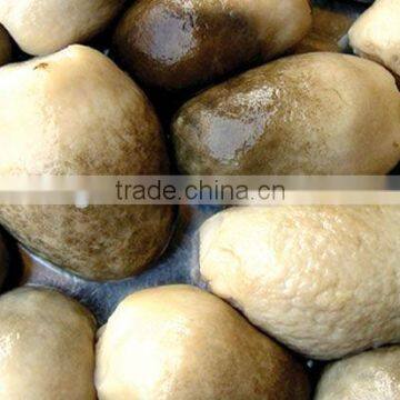Canned Whole Button Mushroom