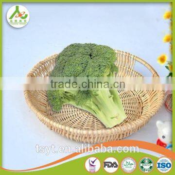 Broccoli Fresh Broccoli Hot Sale Fresh Green Broccoli photo-5