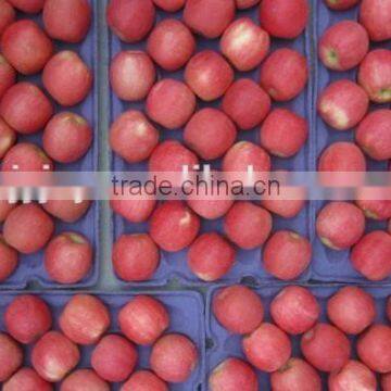 2014 New Crop fresh Fuji Apple, sweet red Fuji Apple Fruit From yantai,gansu /shanxi China