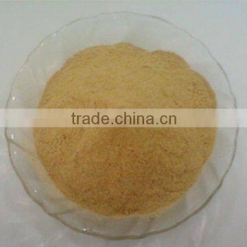 BEST QUALITY DRY GARLIC POWDER WHITE