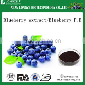 Good quality of dried fruit blueberry extract / Blueberry P.E / blueberry powder in low price for sale