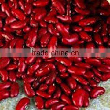 JSX vigna beans small red kidney beans gold supplier food grade sweet red bean paste