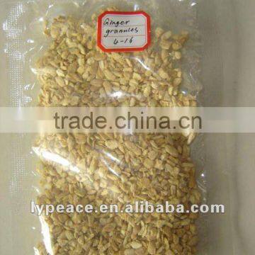 china ginger granules for dehydrated food spices in life